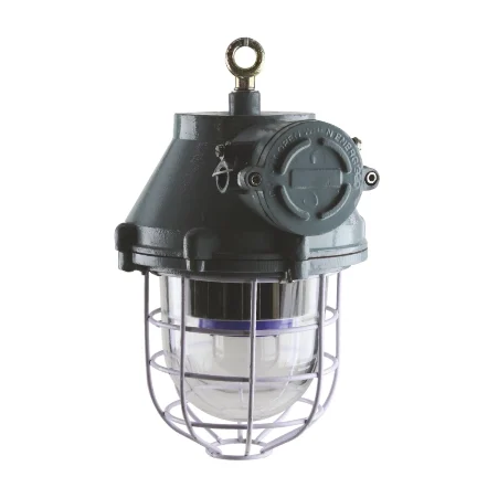 30W Flameproof Light