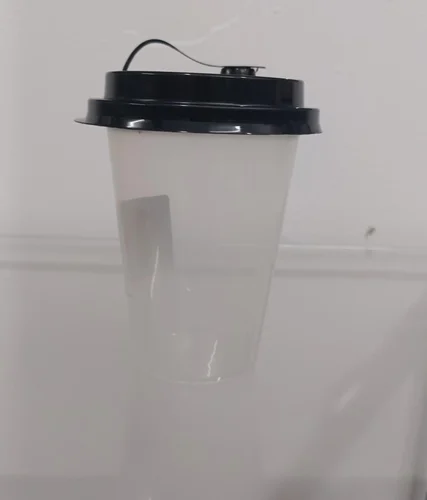 250 mL Transparent Round Glass With Lid