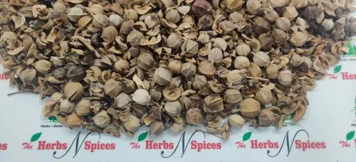 Amla Guthli - Awla Seeds