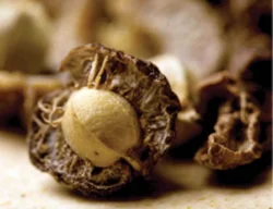 Awala Dry Fruit