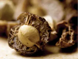 Awala Dry Fruit