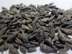 Bal Harad - Terminalia Chebula - Black Harra - Himej - Kali Choti Harada