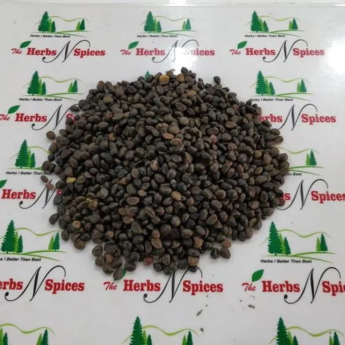 Kaladana - Ipomoea seeds