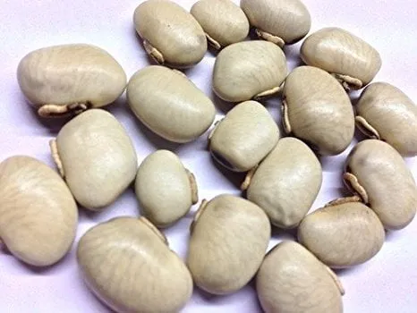 Kaunch Seeds White - Mucuna Pruriens - Nasukunni
