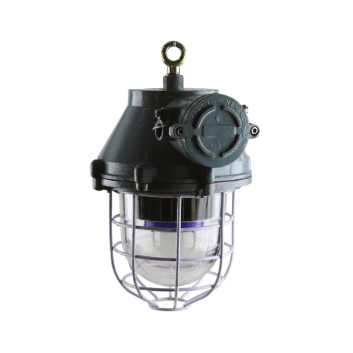 30W LED Flameproof Light
