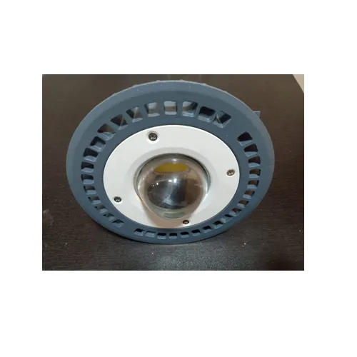 Ssk-faflp Wg-40w LED Flameproof Lights