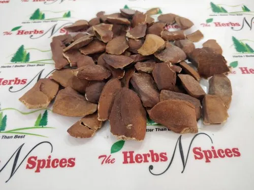 Sugar Badam Kadwa - - Sky Fruit - Samundari Badam - Miracle Fruit
