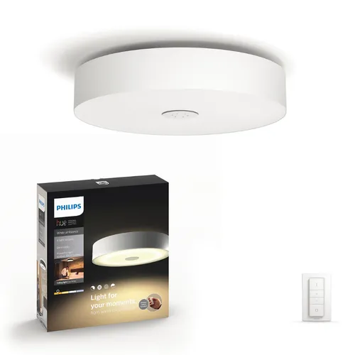Philips Hue Fair Ceiling Light