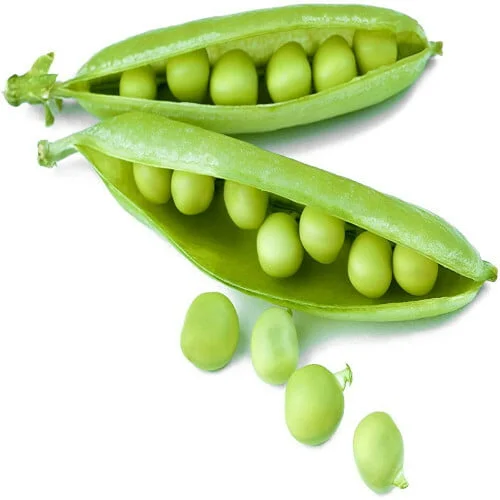 Pea Seeds (5 Seeds)
