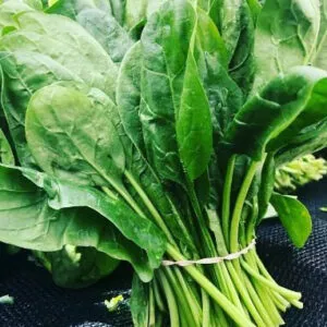 Spinach Seeds (100 seeds)