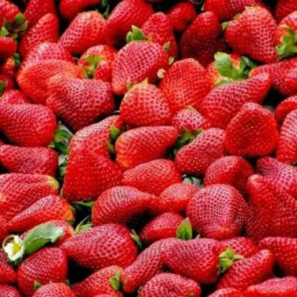 Strawberry Seeds (5 Seeds)