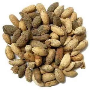 Neem Seeds (3 Seeds)