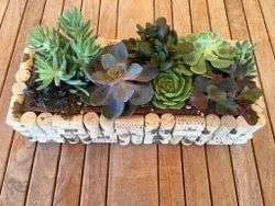 Cork Planters