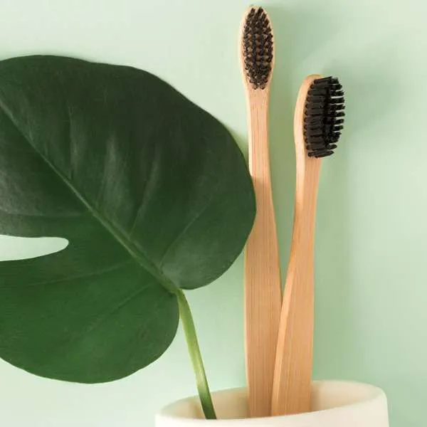 bamboo toothbrush pack of 3 - bamboo handle bpa free bristles - sustainable tooth brush
