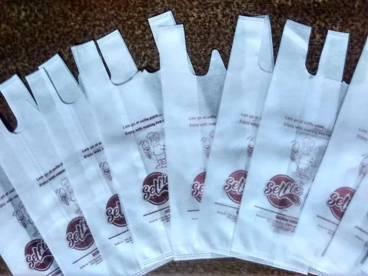 BOPP W-CUT Printed Non Woven Carry Bags for Grocery