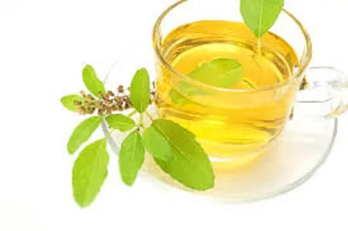 Genius Herbs Tulsi Herbal Tea, Packaging Size: 20 Dips Bag
