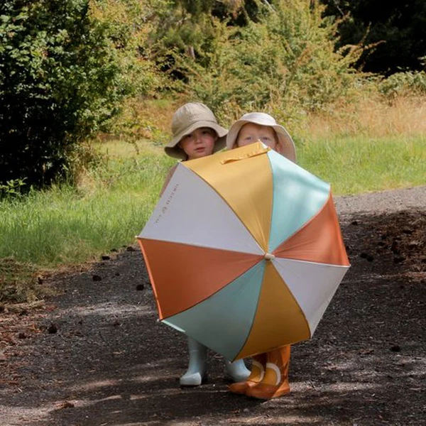 Sustainable Umbrella