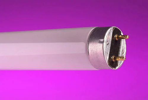 Philips 12w Actinic UV Fluorescent Tube, 6 W - 10 W, IP Rating: IP33