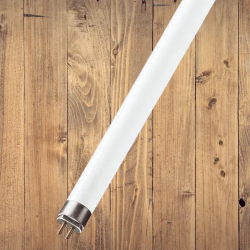 Fluorescent Tubes Cool White