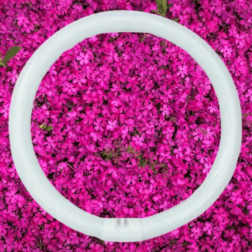 CIRCLE Syska Circular Fluorescent Tubes, 40WT