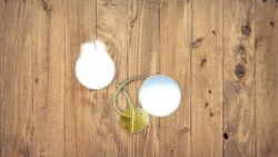 2 Way Vanity Light