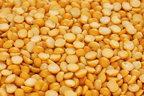 Balapur Vibhag Baliraja Producer Company Ltd