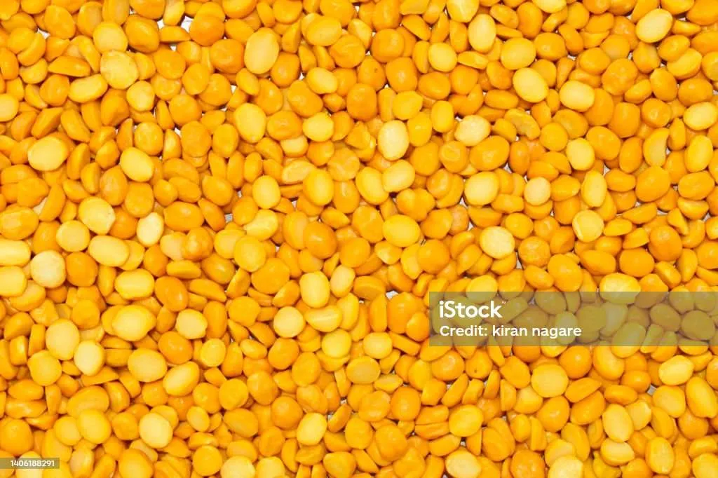 Yashodhara Agro Producer Company Ltd.