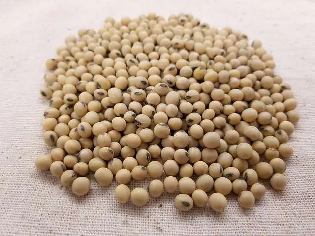Aluminium Full Spectrum Grow light for Hydroponic Farming