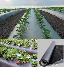 Junnar Taluka Farmers Producer Company Ltd