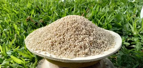 Natural Barnyard Millet Unpolished