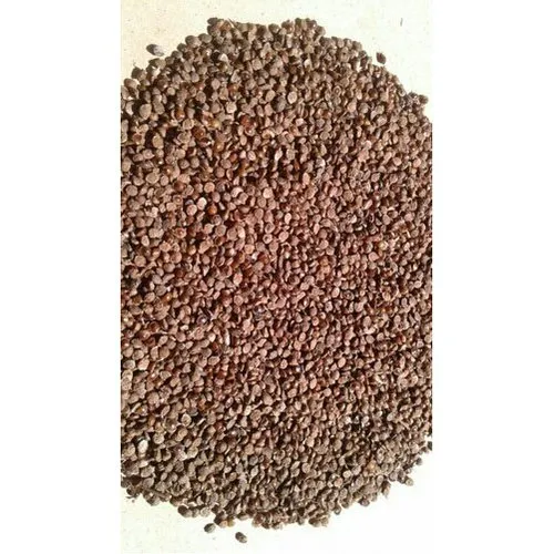 Brown Natural Kodo Millet, High in Protein