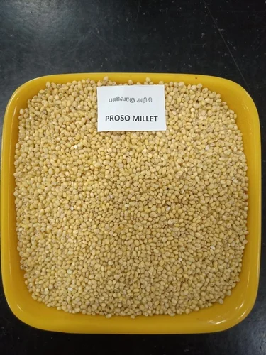 Natural Organic Proso Millet, Packaging Type: PP Bag, Packaging Size: 1 kg,25 kg
