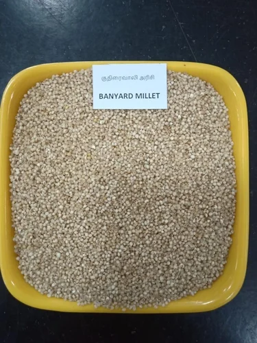 Barnyard Millet, Packaging Size: 1 kg,25 kg, Gluten Free