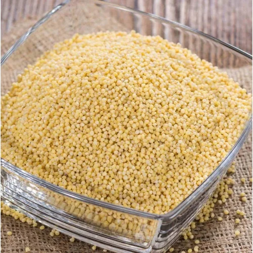 Smart Swad Yellow Natural Little Millet, Packaging Size: 1 Kg, Gluten Free