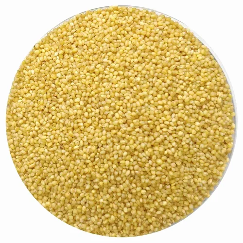Indian Organic Foxtail Millet, Packaging Size: 1 kg, Gluten Free