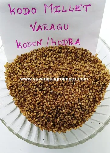 Kodo Millet Parboiled / Varagu Pulungal