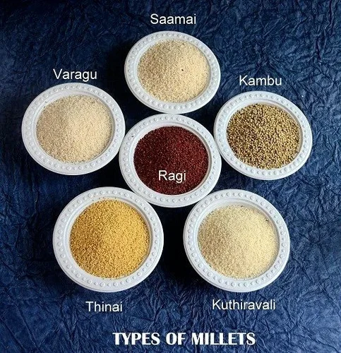 Organic Proso Millet