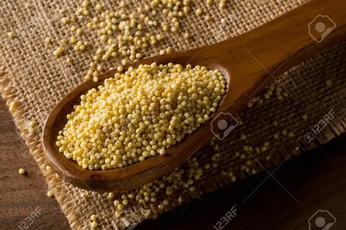 WHOLESALE Indian FOXTAIL MILLET, Gluten Free
