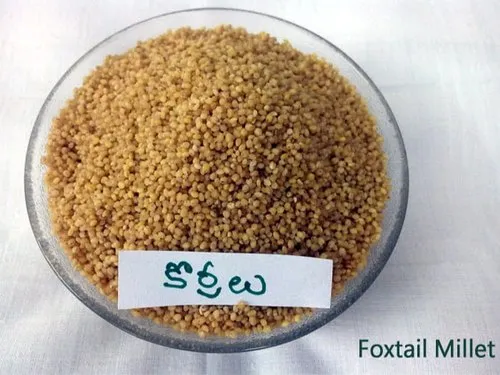 Foxtail Millet Parboiled / Thinai Pulungal