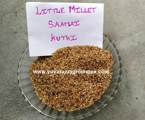 Little Millet Parboiled / Samai Pulungal, Packaging Size: 25 Kg