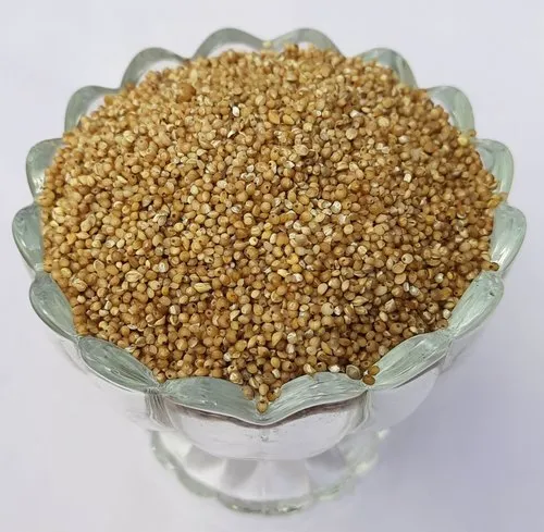 Millets Kuthiravali Arisi, Packaging Size: 30kg, High in Protein