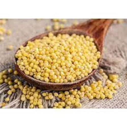 Organic Yellow Millet