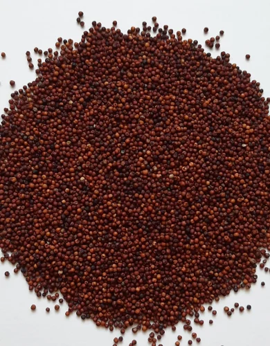 Dry Organic Ragi Millets