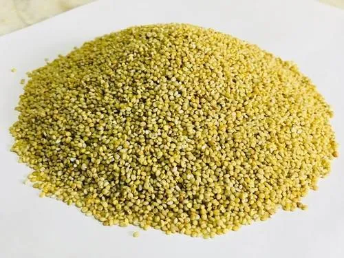 Yellow Brown Top Millets (Andu Korralu), High in Protein
