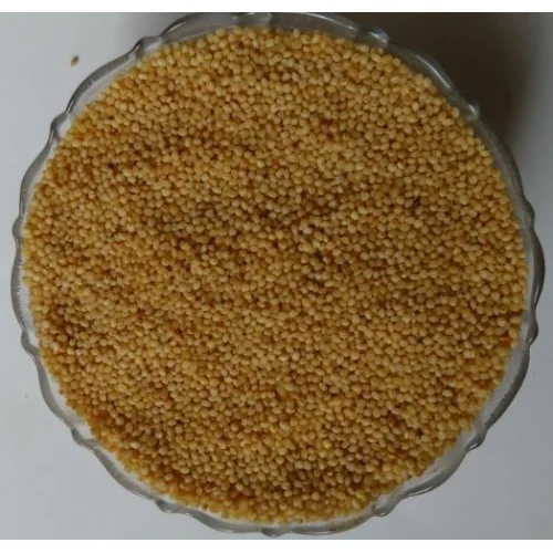Indian Navane Millet, High in Protein