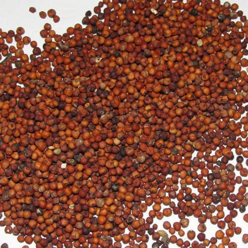 Finger Millet, Madurai, Packaging Size: 10-25 Kg