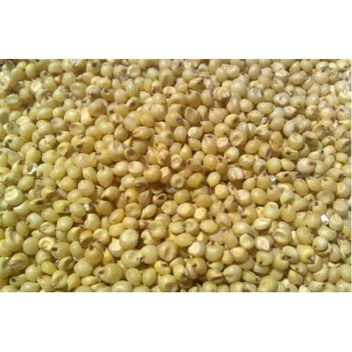 Sorghum Organic Millet