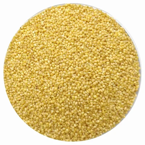 Yellow Foxtail Unpolished Millet, Organic