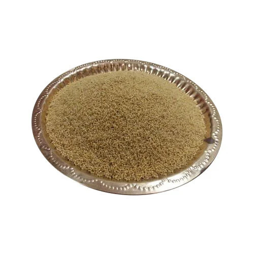 Indian Thinai Millet, High in Protein