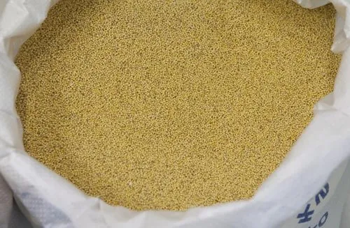 1kg Foxtail Millets, Packaging Size: 1000gm, High Fibre